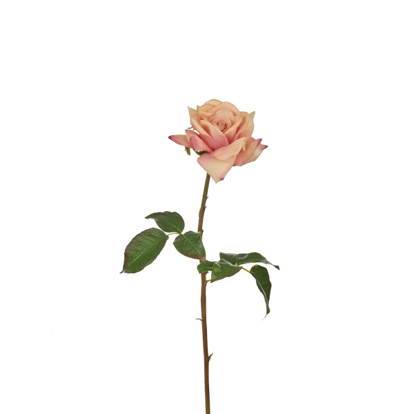 Neptune Accessories_Living accessories_Faux flowers & plants default Rose Stem, Peach