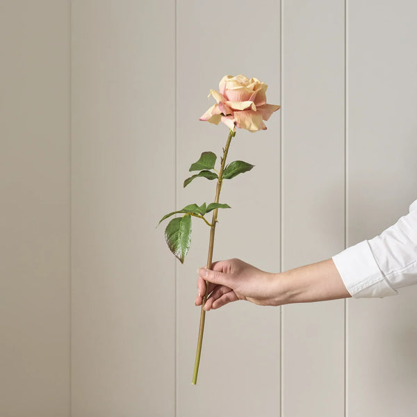 Neptune Accessories_Living accessories_Faux flowers & plants default Rose Stem, Peach