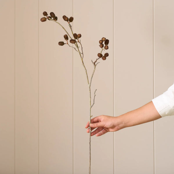 Seed Pod Stem, Brown