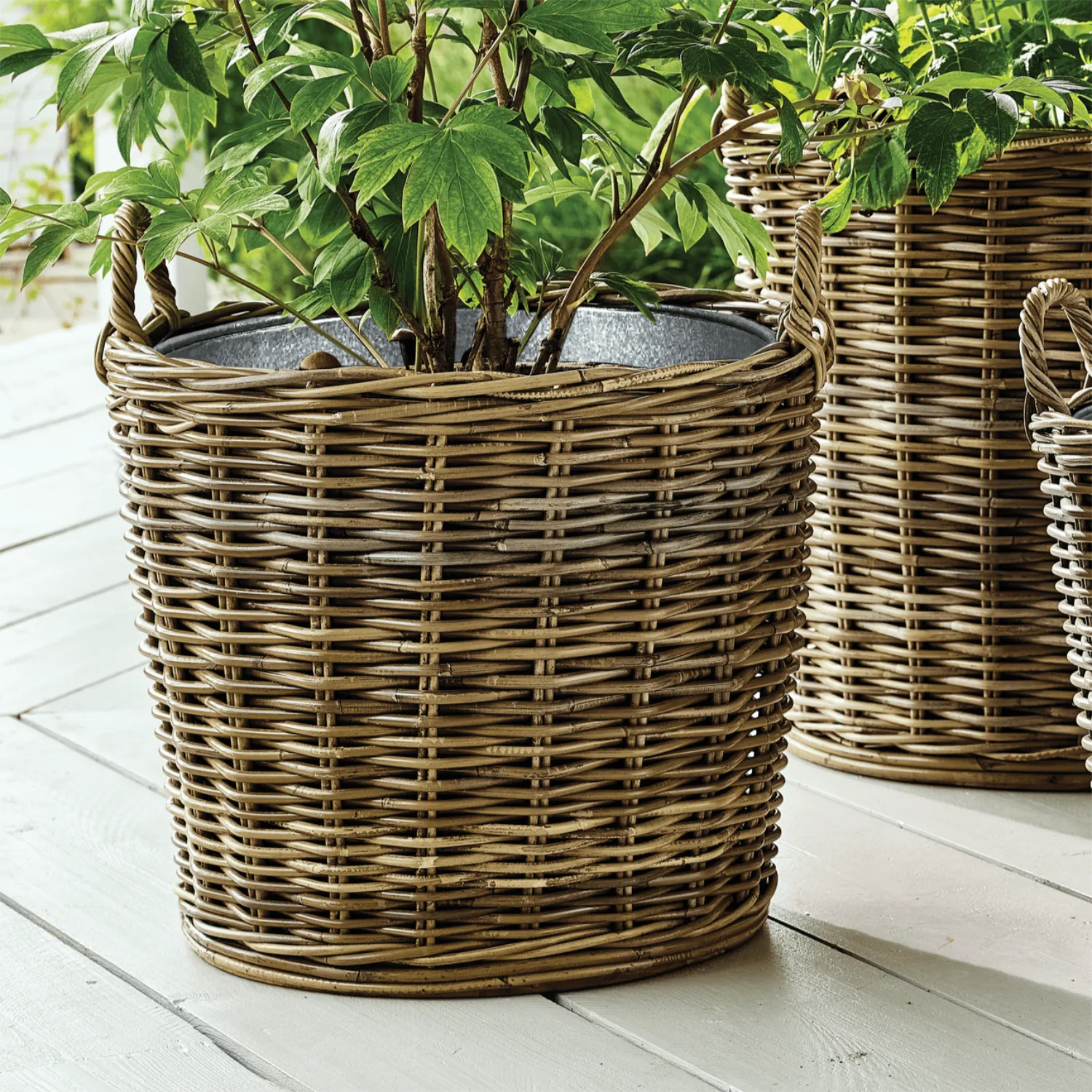 Neptune Seasonal_Garden_Garden accessories default Tetbury Medium Wicker Garden Planter