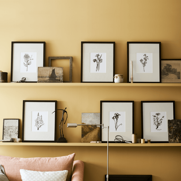 Neptune Fitted Storage Buckland Print Ledge, Painted