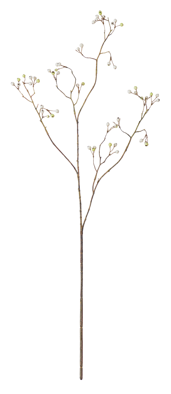 Neptune Flowers & Plants Berry Spray