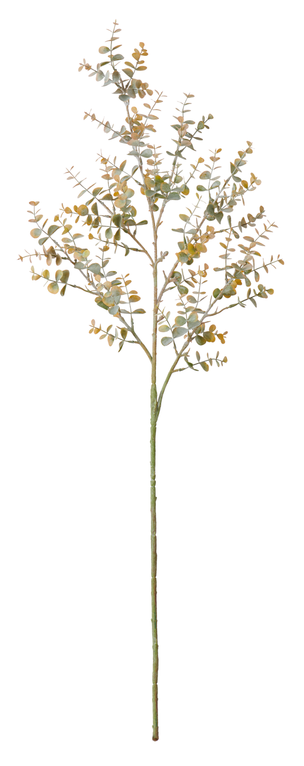 Neptune Flowers & Plants Eucalyptus Mini Spray