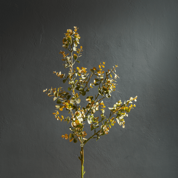 Neptune Flowers & Plants Eucalyptus Mini Spray