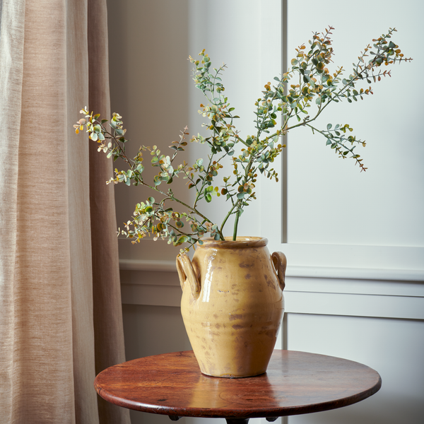 Neptune Flowers & Plants Eucalyptus Mini Spray