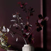 Neptune Flowers & Plants Eucalyptus Stem