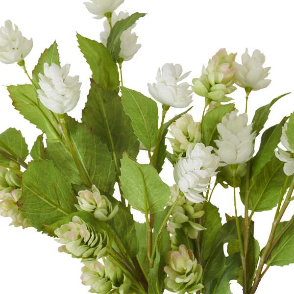 Neptune Flowers & Plants Hops Bunch