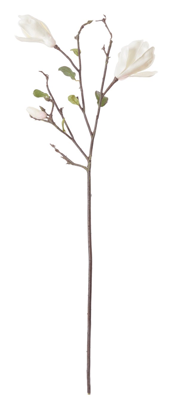 Neptune Flowers & Plants Magnolia Branch