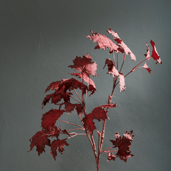 Neptune Flowers & Plants Maple Leaf Twig