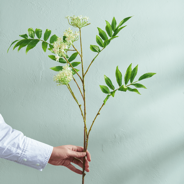 Neptune Flowers & Plants Rowan Blossom Stem
