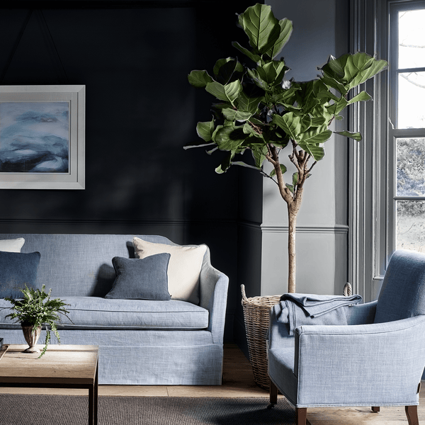 Neptune Paint Charcoal Paint