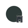 Neptune Paint Sample pot / Matt Emulsion Constable Green Paint