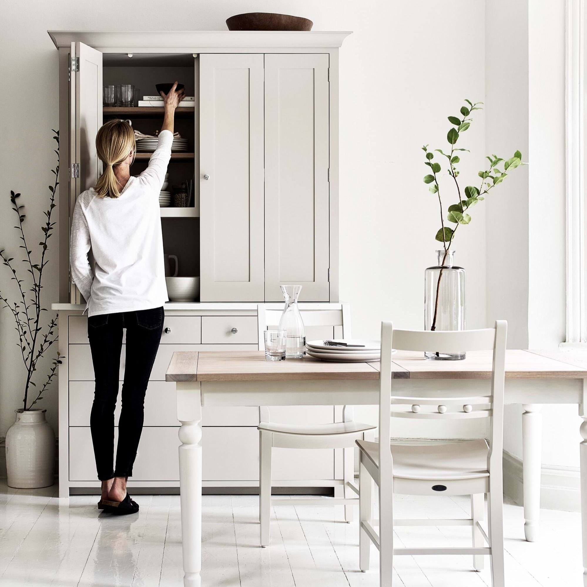 Neptune Paint Silver Birch Paint