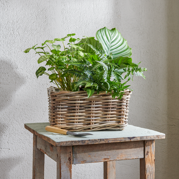 Neptune Pots & Planters Default Littleton Basket, Square