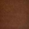 Neptune Samples & Swatches Tan Leather Swatch