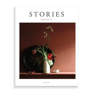 Stories volume 13