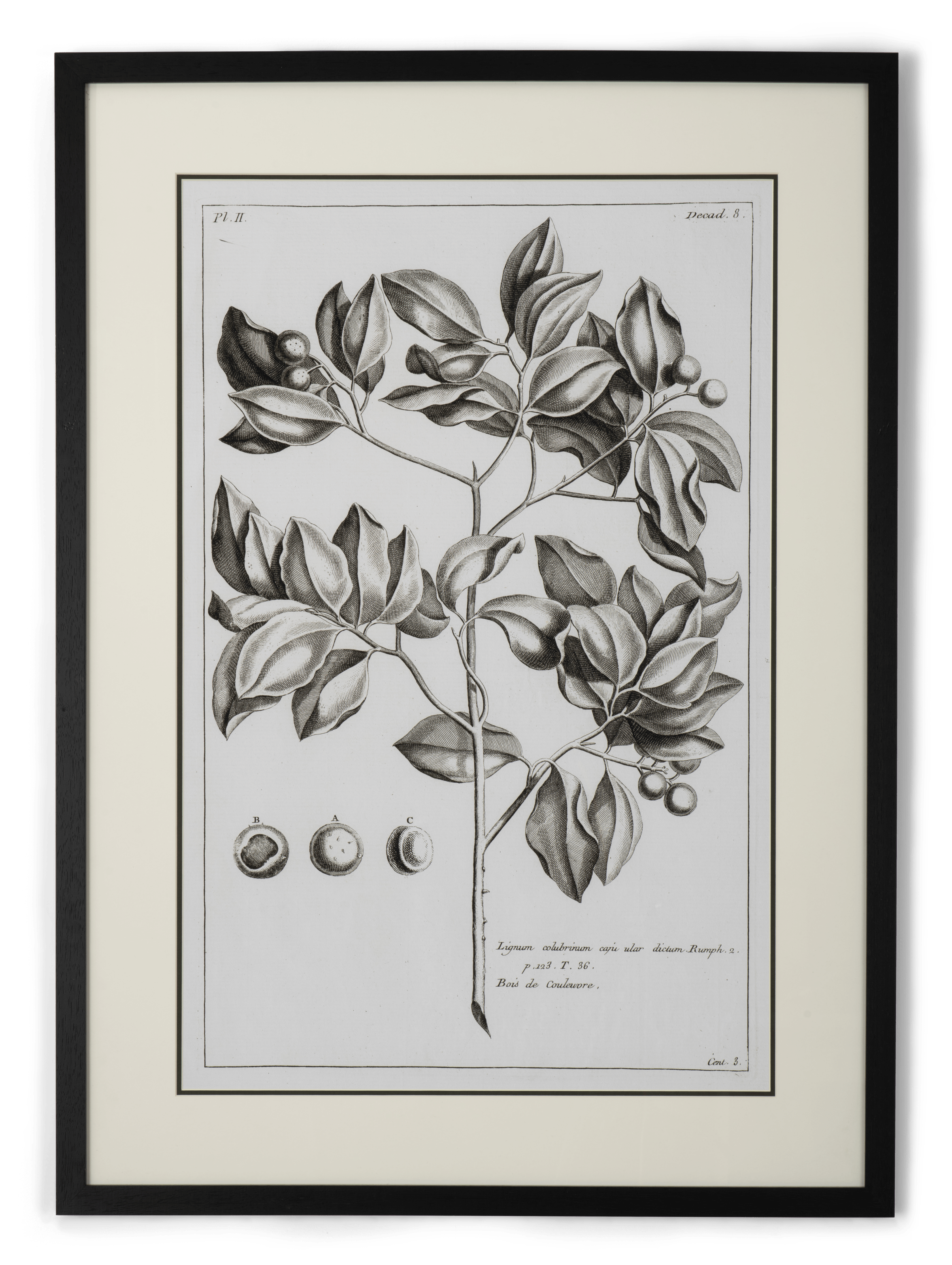 Neptune Wall Art Whitechapel