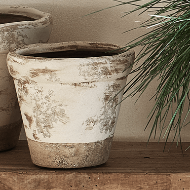 neptune plant pots Thyme Terracotta Pot