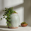 A large round ceramic planter with a textured sage green glaze and terracotta rim, filled with green ivy and moss, sits on a light surface against a textured white wall. A smaller terracotta bowl with moss is placed to the right, and natural shadows are cast across the scene.