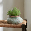 A small potted green herb plant in a round, rustic distressed ceramic pot with a light blue-green glaze and terracotta rim, placed on a woven rope bench against a neutral beige wall.
