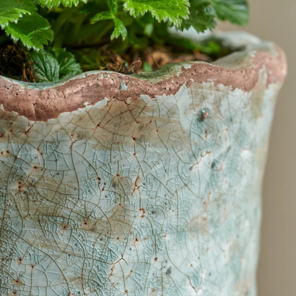 Close-up of a handmade ceramic planter with a crackled glaze in pale blue-green and terracotta, shown with green foliage growing in it.