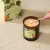 An amber glass jar candle labeled Clementine & Sandalwood is lit with a wooden match, with the matching product box blurred in the background on a beige fabric surface.