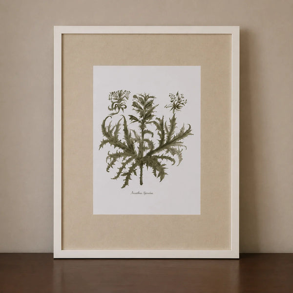 A framed botanical art print of a thistle, featuring an olive-green illustration on a white background with a beige mount and a white frame, leaning against a neutral beige wall on a dark wooden surface.