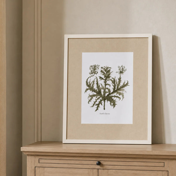 A framed botanical art print of a Acanthus plant, featuring an olive-green illustration on a white background with a beige mat and a light wood frame, displayed on a light oak console table against a beige wall.