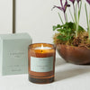 A lit amber glass candle jar labeled 'NEPTUNE ENGLISH FIG' stands in front of its pale mint box, with a copper planter and green plants in the softly blurred background.