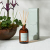Amber glass reed diffuser bottle with wooden reeds, shown next to its pale mint-green box and a potted plant on a light surface.