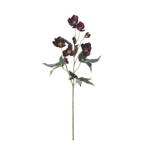 Hellebores faux flowers in burgundy on a white background