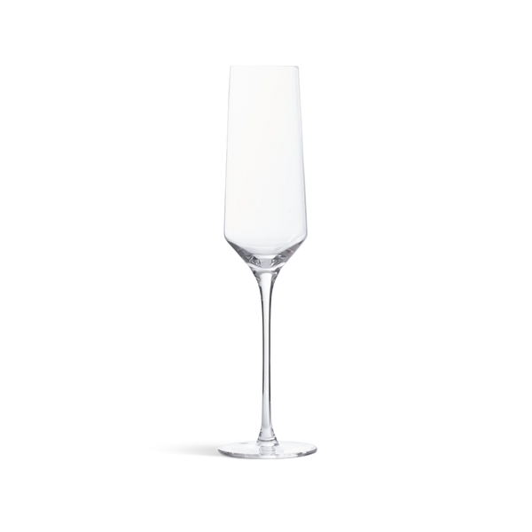 Hoxton stemmed champagne flute on white background