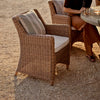 Neptune Chairs Honey Stanway Carver Chair with Cushion