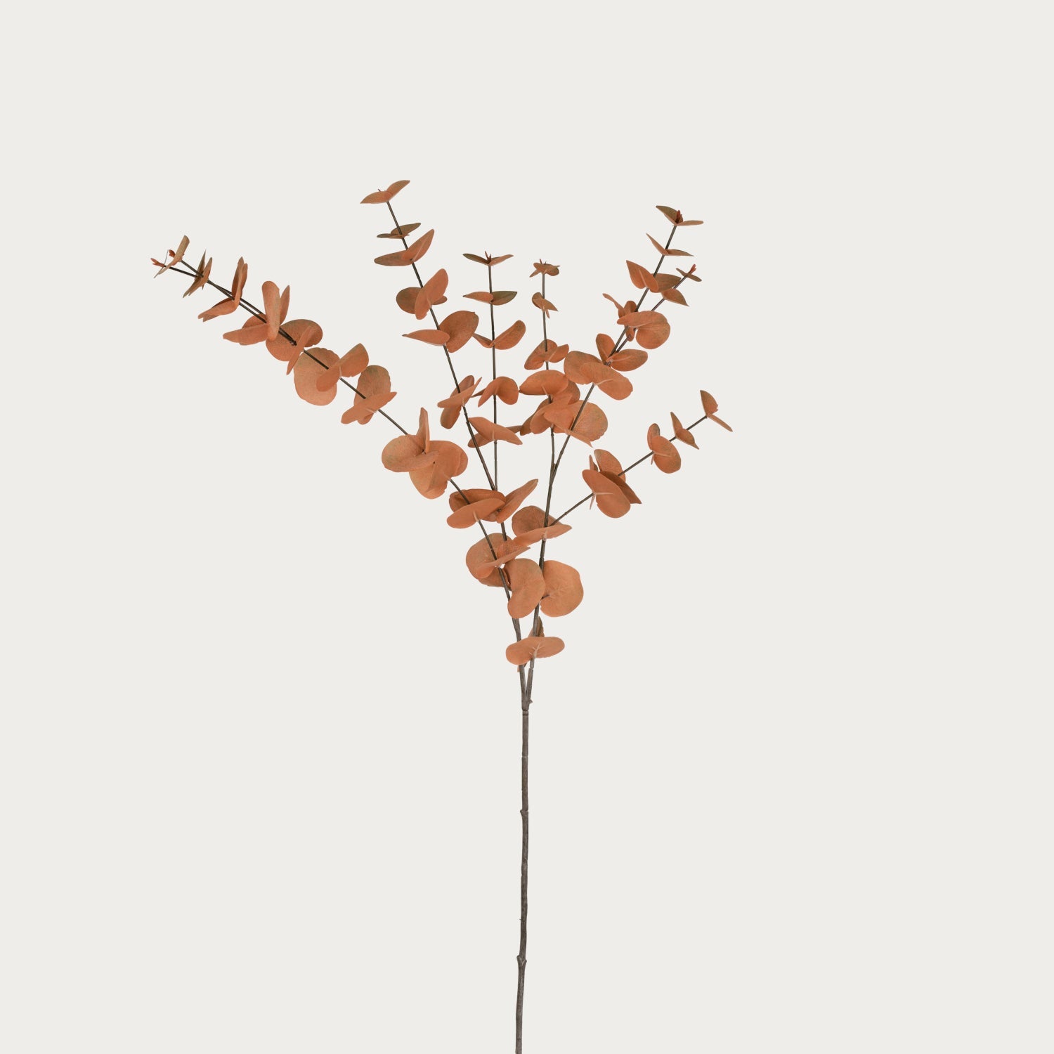 Neptune Accessories_Living accessories_Faux flowers & plants default Eucalyptus Spray, Brown