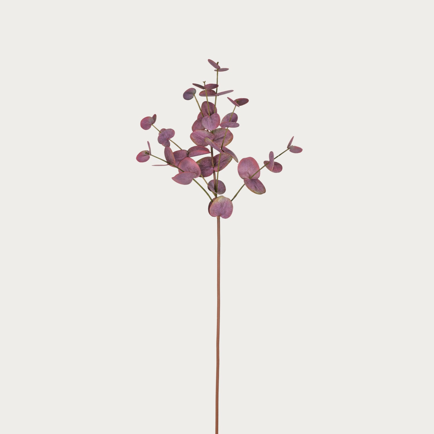 Neptune Accessories_Living accessories_Faux flowers & plants default Eucalyptus Spray, Burgundy