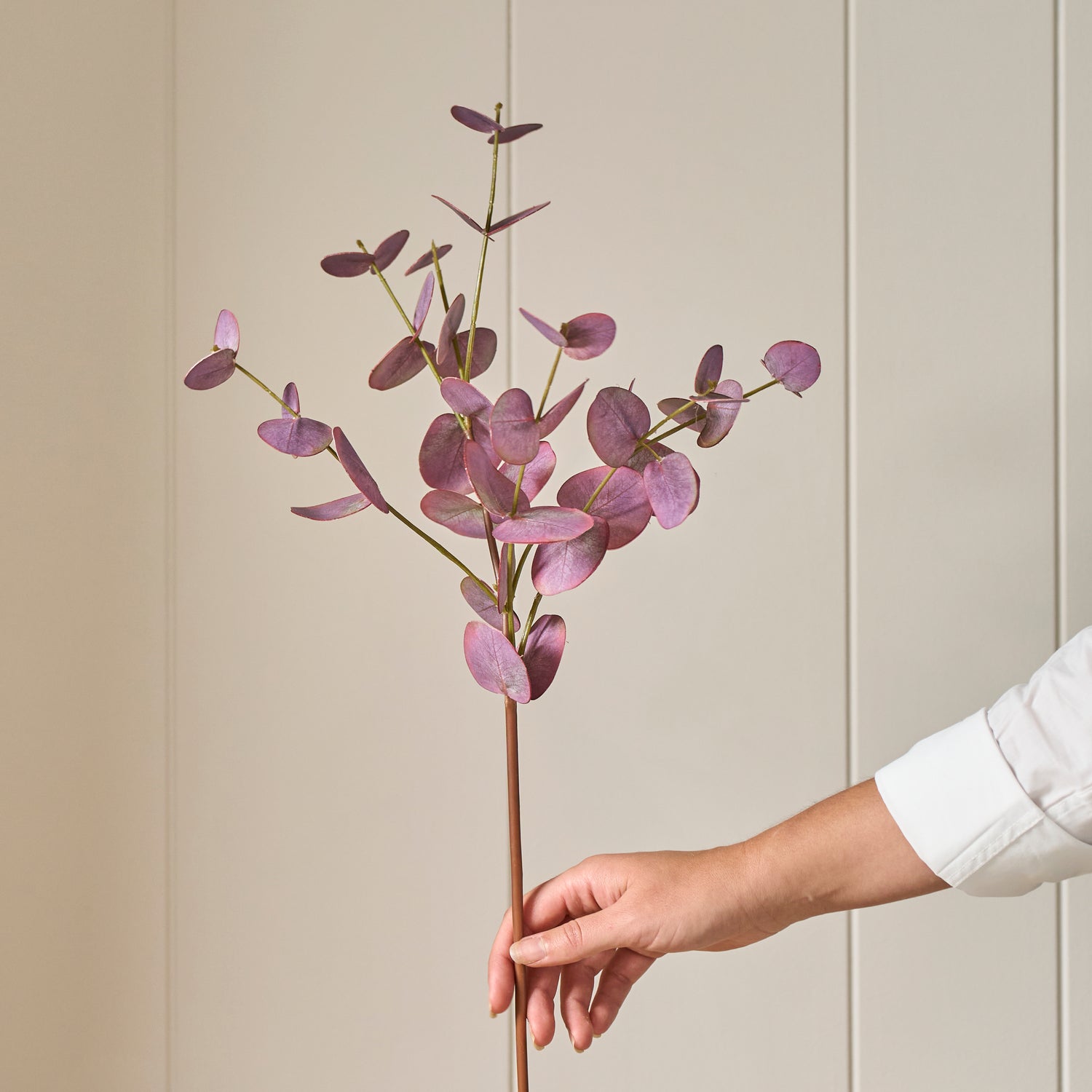 Neptune Accessories_Living accessories_Faux flowers & plants default Eucalyptus Spray, Burgundy