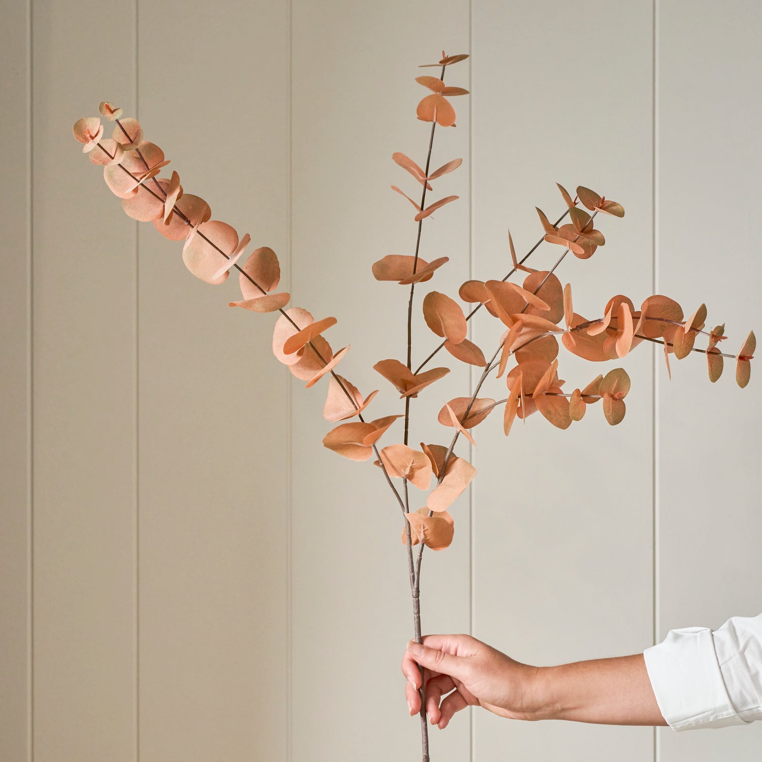 Neptune Accessories_Living accessories_Faux flowers & plants default Eucalyptus Spray, Brown