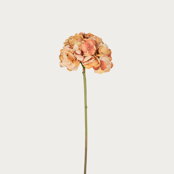 Neptune Accessories_Living accessories_Faux flowers & plants default Hydrangea Stem, Light Brown