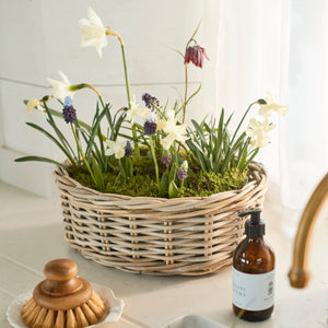 Neptune Pots & Planters Littleton Basket, Oval