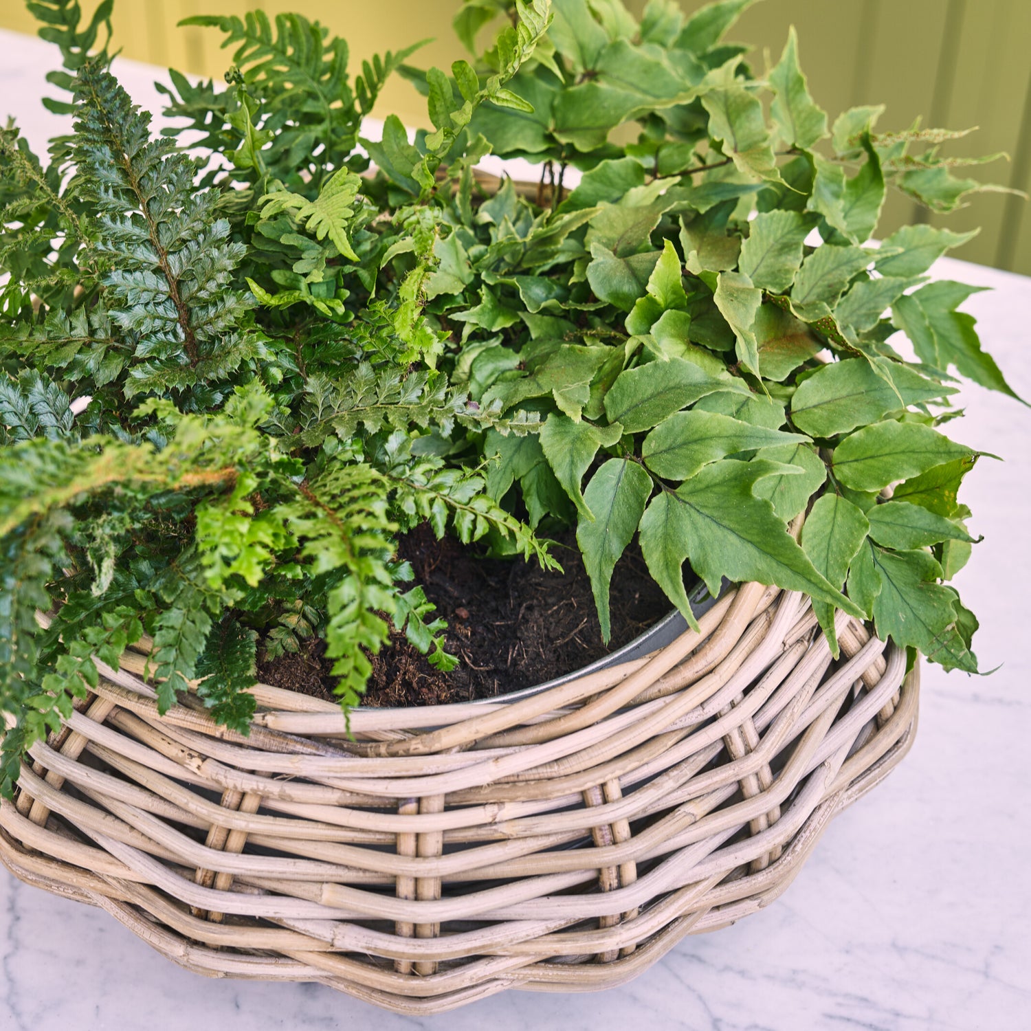 Neptune Seasonal_Garden_Garden accessories Default Littleton Basket, Round