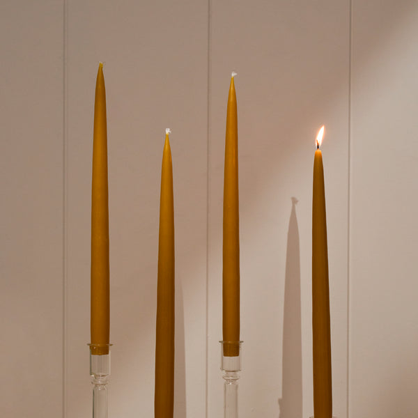 Neptune Candles Nightingale Tapered Candles, Set of 4