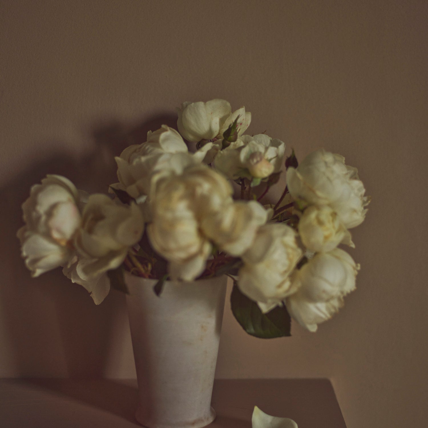 Neptune Decorating_Interior decoration_Paint & care kits Saddle Paint