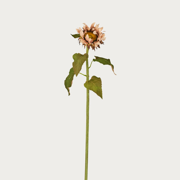 Neptune Accessories_Living accessories_Faux flowers & plants default Sunflower Stem, Light Brown
