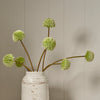 Neptune Flowers & Plants Allium Spray, Green