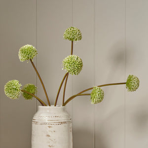Neptune Flowers & Plants Allium Spray, Green