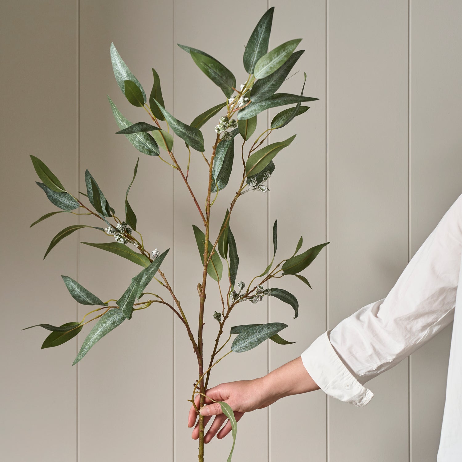 Neptune Flowers & Plants Eucalyptus Berry Spray, Dark Green