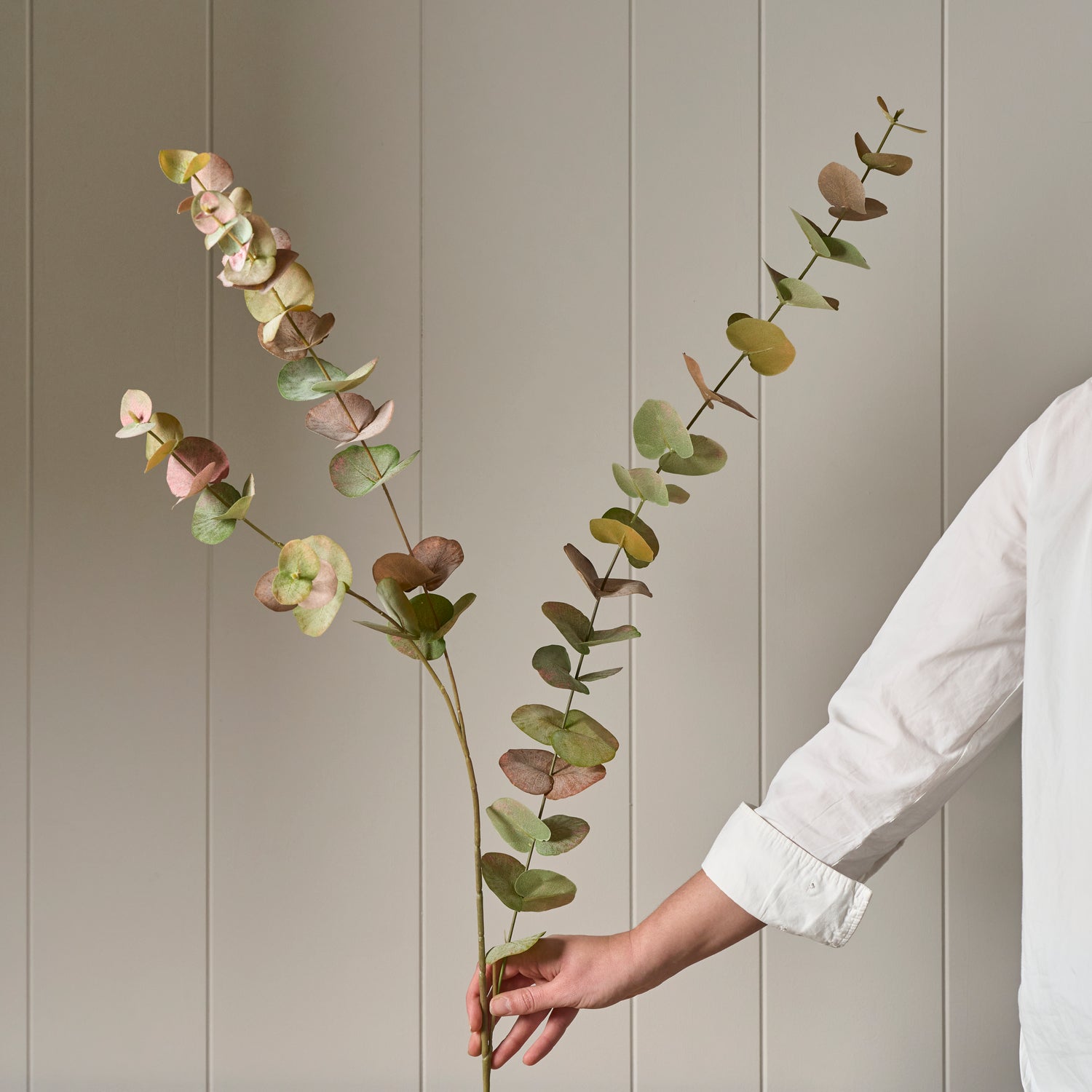 Neptune Flowers & Plants Eucalyptus Spray, Russet