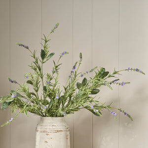 Neptune Flowers & Plants Lavender Bush
