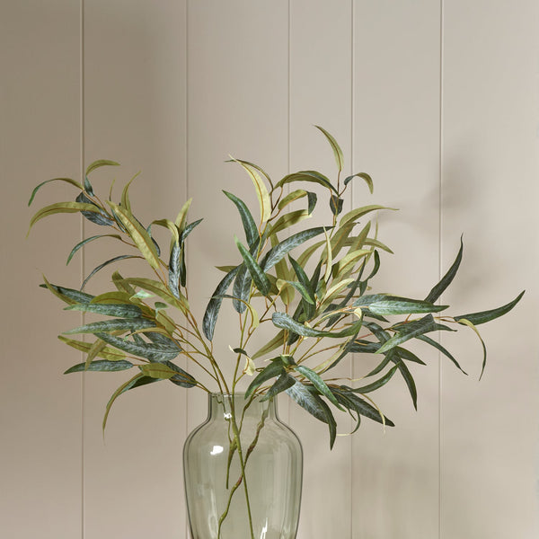 Neptune Flowers & Plants Olive Spray