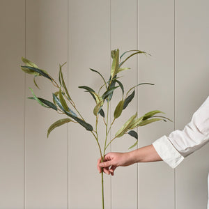 Neptune Flowers & Plants Olive Spray